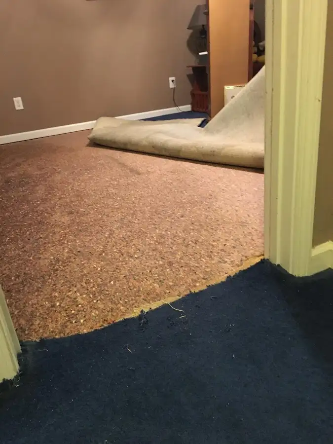 Carpet pad removal revealing water damage during Drying & Dehumidification in Branford