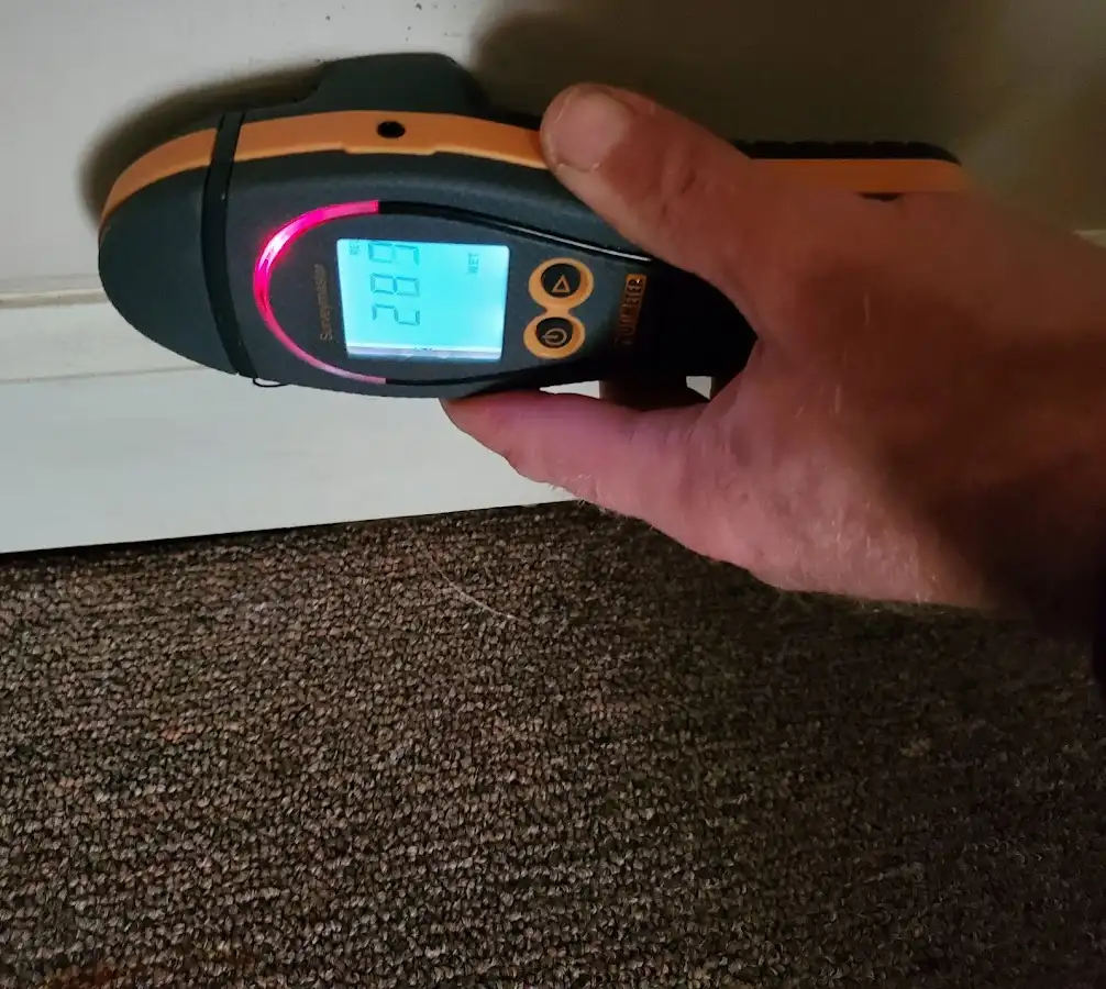 Moisture detection at baseboard during Mold Inspection & Testing in Branford
